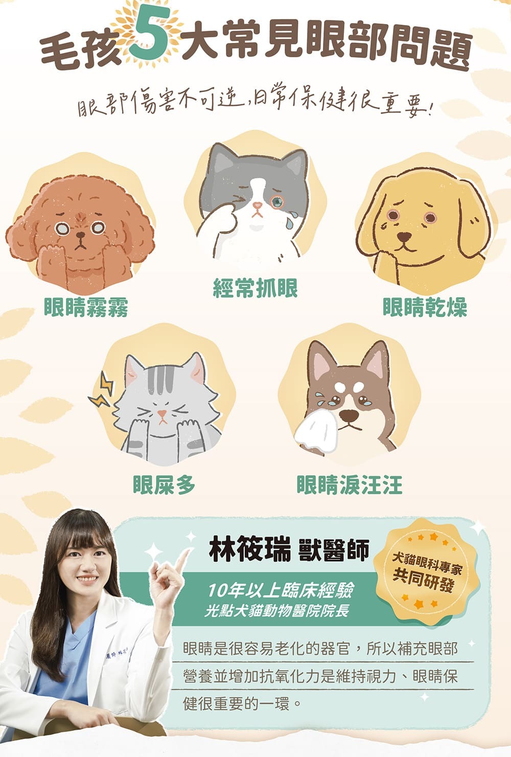 毛孩五大常見眼部疾病,白內臟、青光眼、乾眼症、視網膜退化、眼睛淚汪汪。林筱瑞 獸醫師:眼睛是老化速度非常快的器官