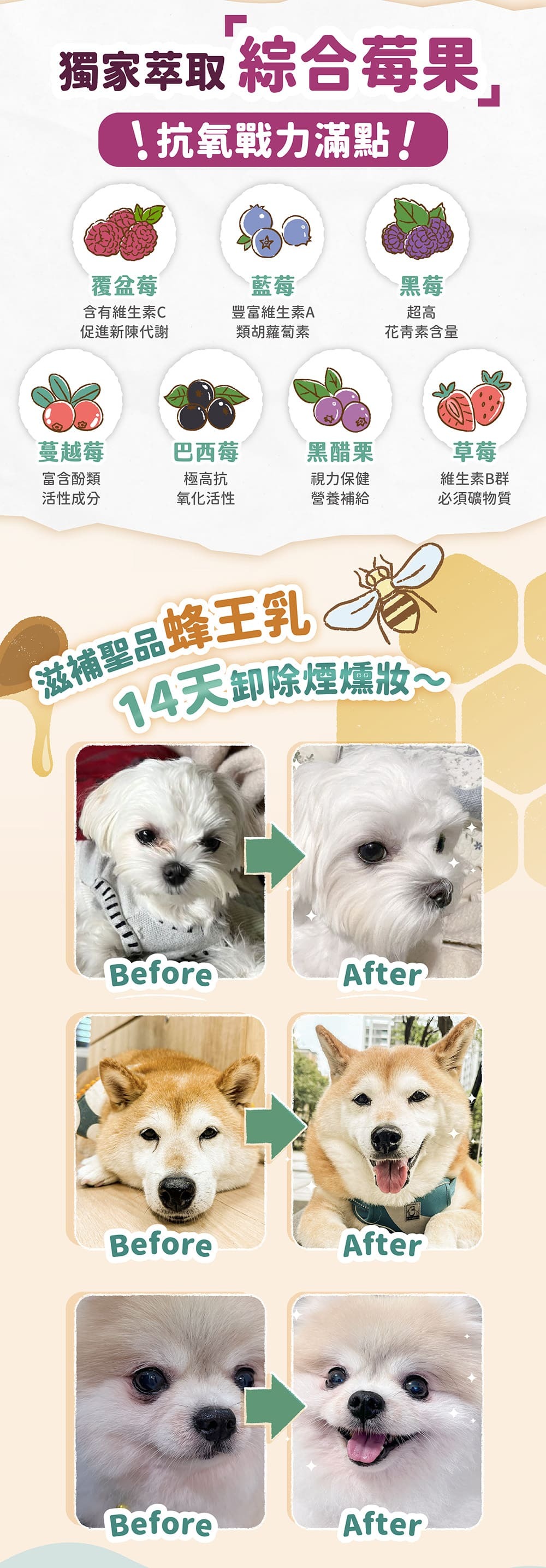 市售最高葉黃素,嚴選好吸收游離型,游離型葉黃素酯化型分子量較小