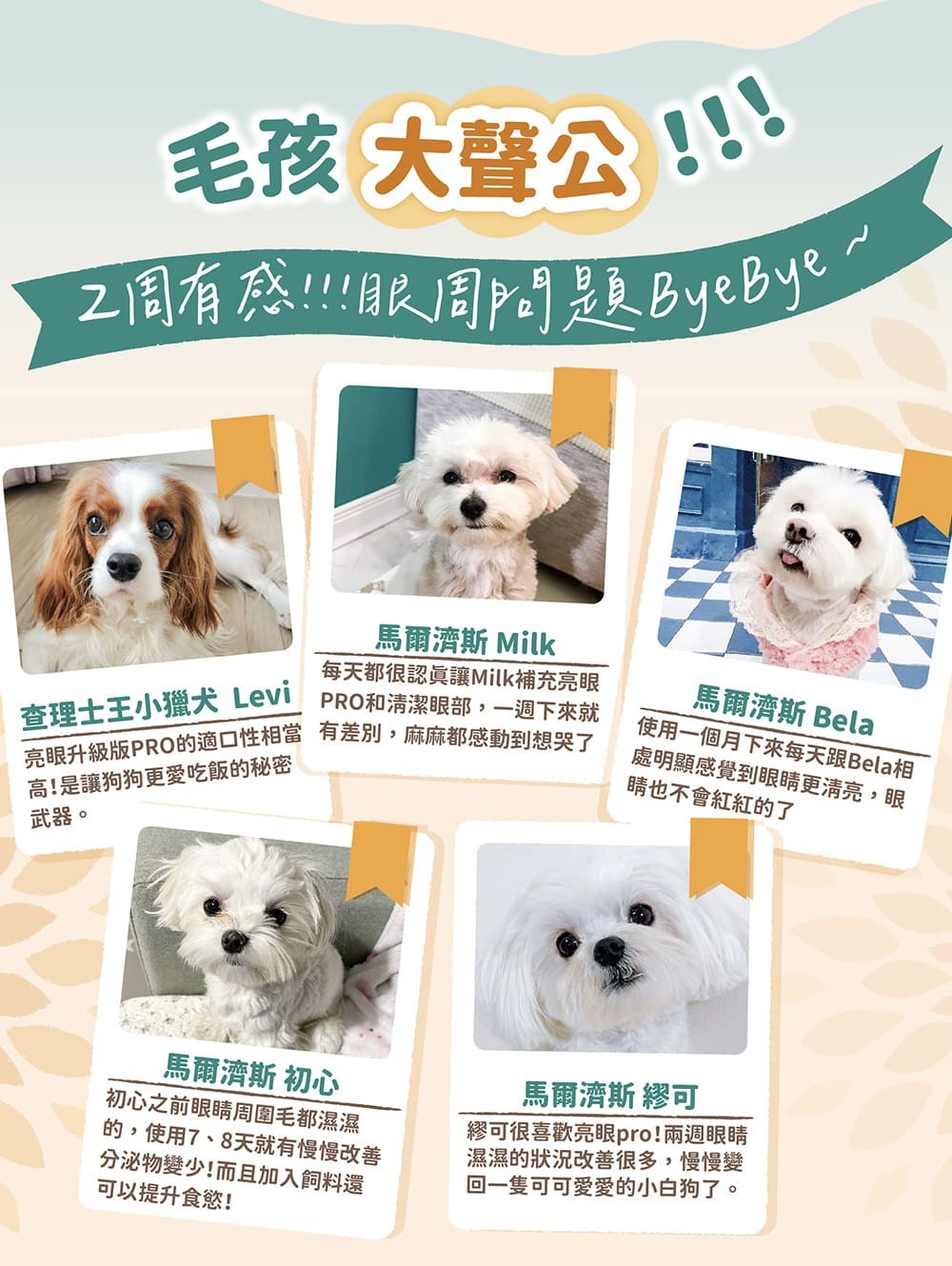 獨家萃取七仙莓,抗氧戰力滿點,萃取綜合莓果豐富花青素