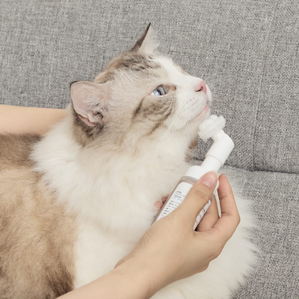 MAO&ME 毛極品｜毛毛去味抑菌噴霧 毛腳腳潔淨抗菌慕斯 軟嫩嫩肉球霜