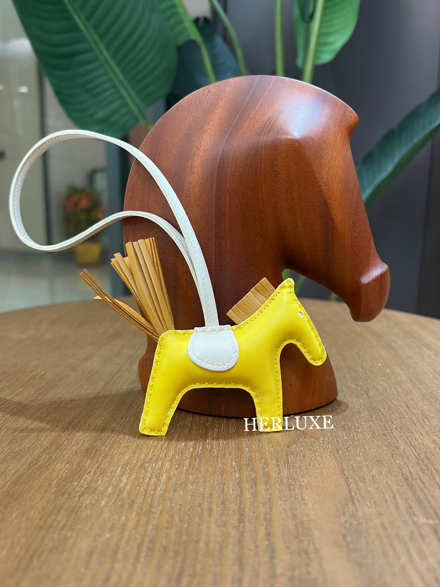 Rodeo pm 9O jaune de naples/ 2S sesame/ 10 craie