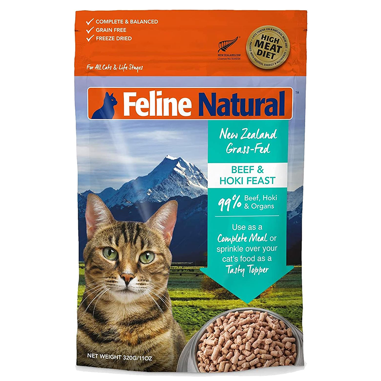 Illustration of Feline Pyelonephritis Natural Cure