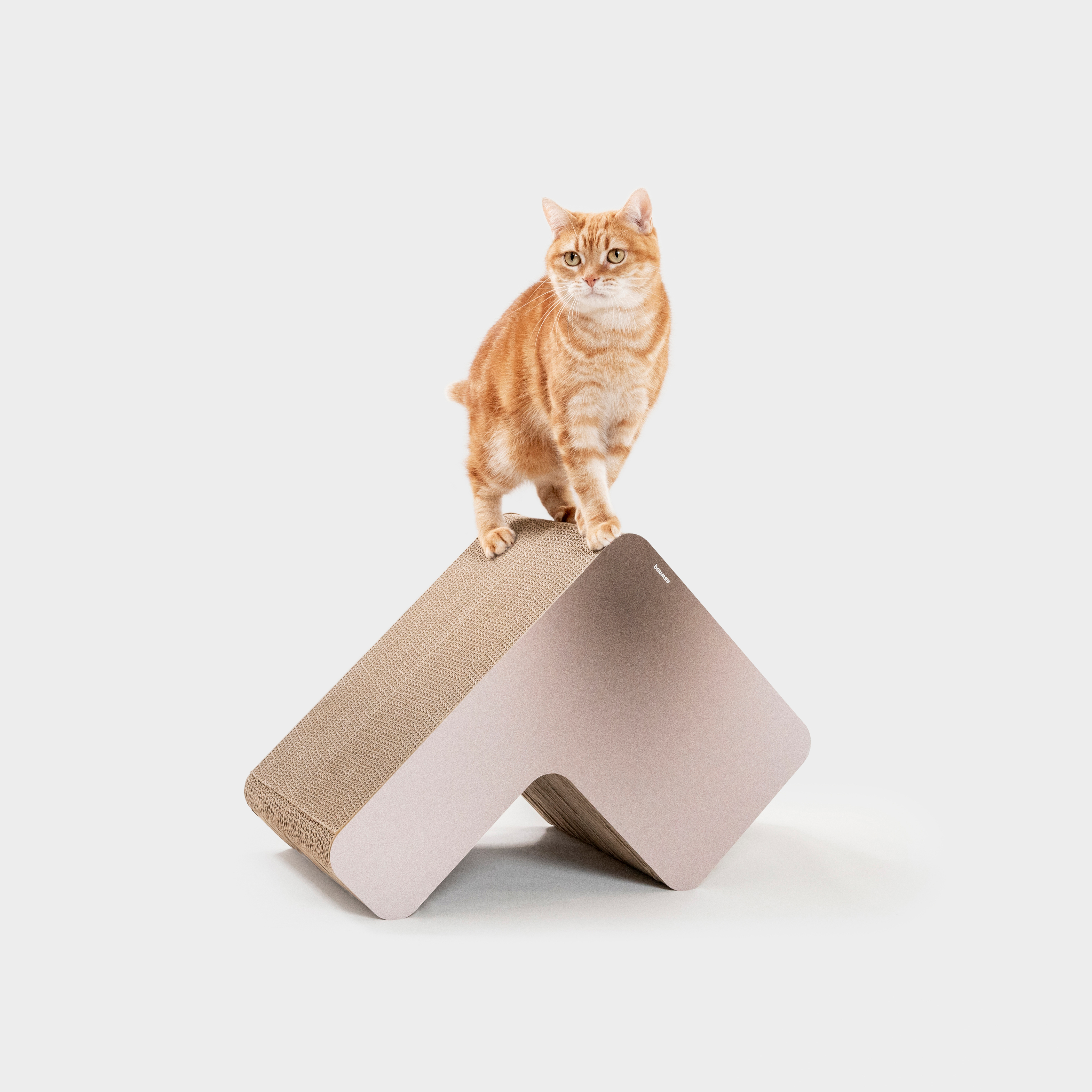 Ponwaa｜實心階梯 ( 最終絕版品 )