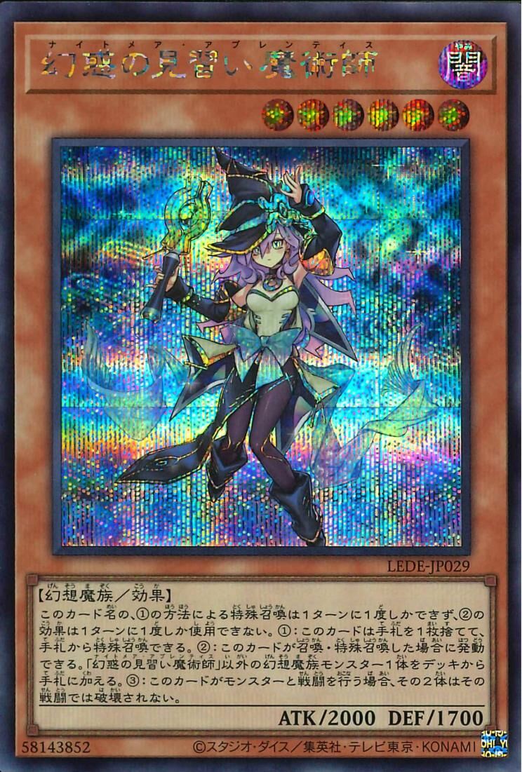 LEDE-JP029  (UR/UTR/SER/QCSER)幻惑の見習い魔術師 (幻惑的見習魔術師)