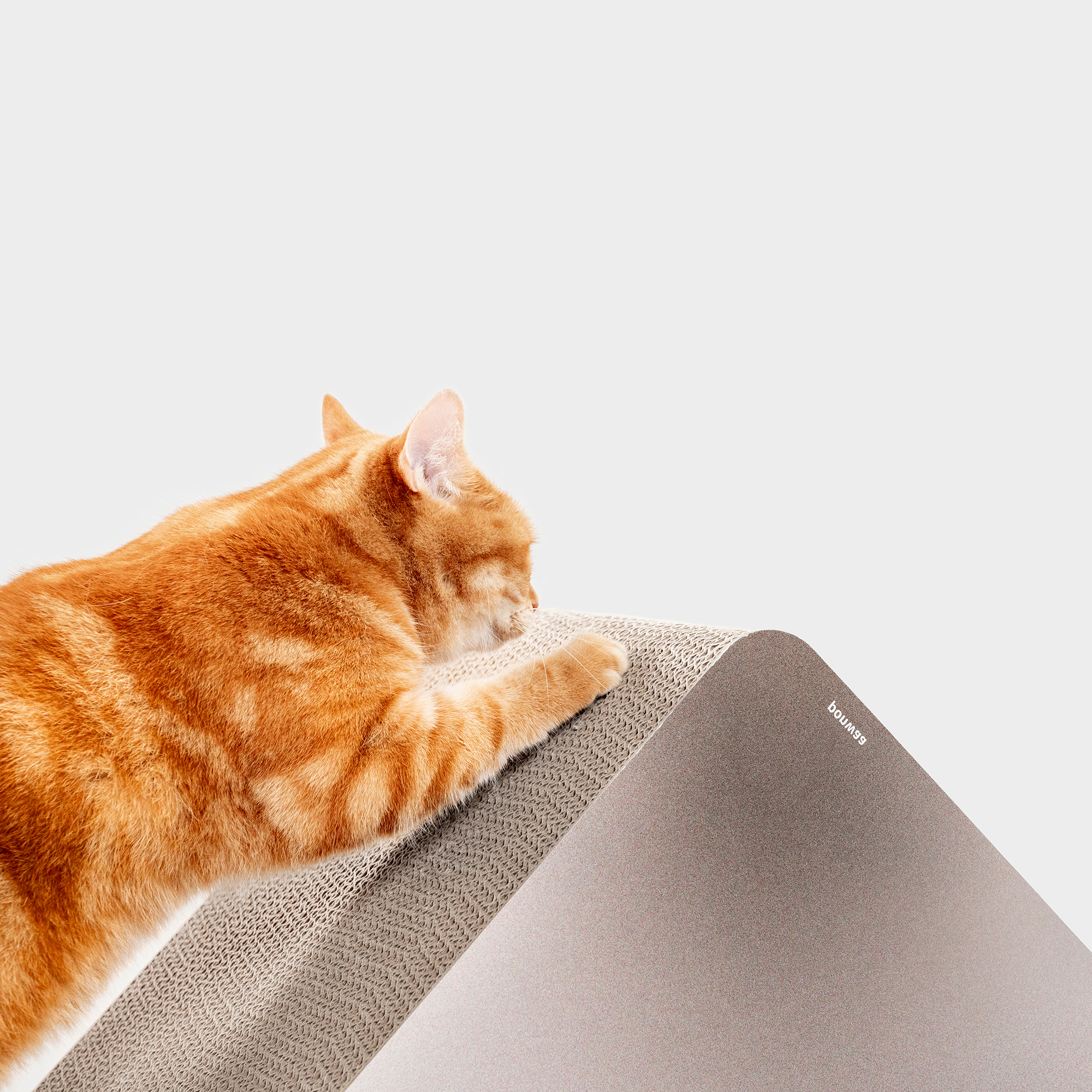 Ponwaa｜實心階梯 ( 最終絕版品 )