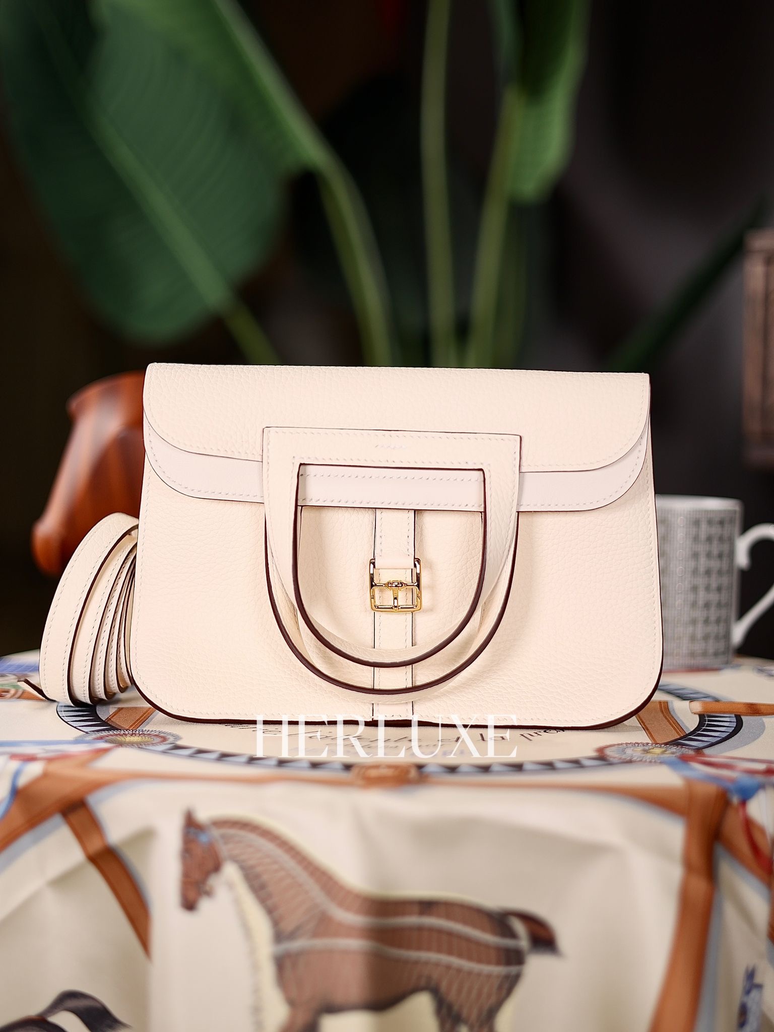 Halzan 25 i2 nata cc tc W