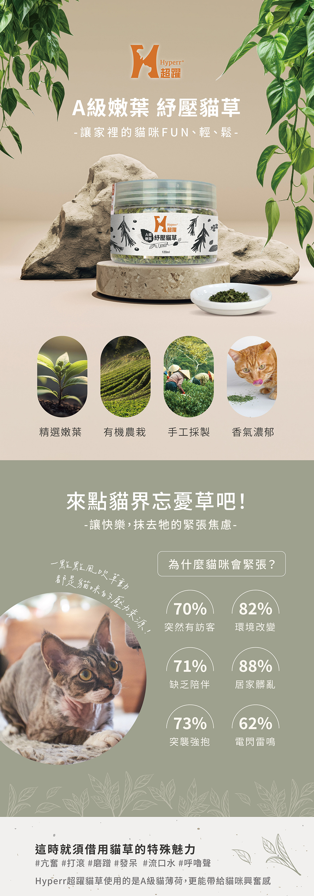 Hyperr貓草，採有機農栽精選嫩葉，香氣濃郁，給貓咪足夠的興奮感，抹去他的緊張焦慮。