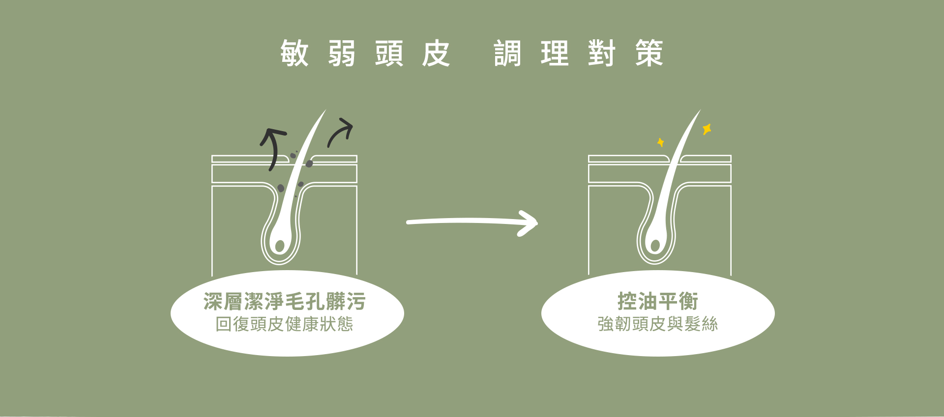 深層潔淨毛孔髒污 回復頭皮健康狀態 | 控油平衡 強韌頭皮與髮絲