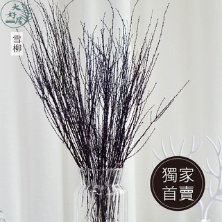 永生雪草【大束裝】