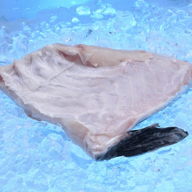 綠洲花尾龍躉魚腩