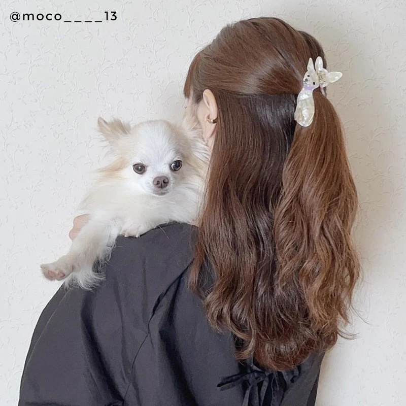 CHIHUAHUA HAIR CLAW｜Coucou Suzette