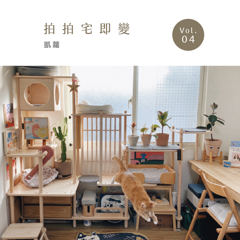 拍拍,貓宅,貓空間規劃,貓跳台推薦,客製化跳台,貓咪家具,