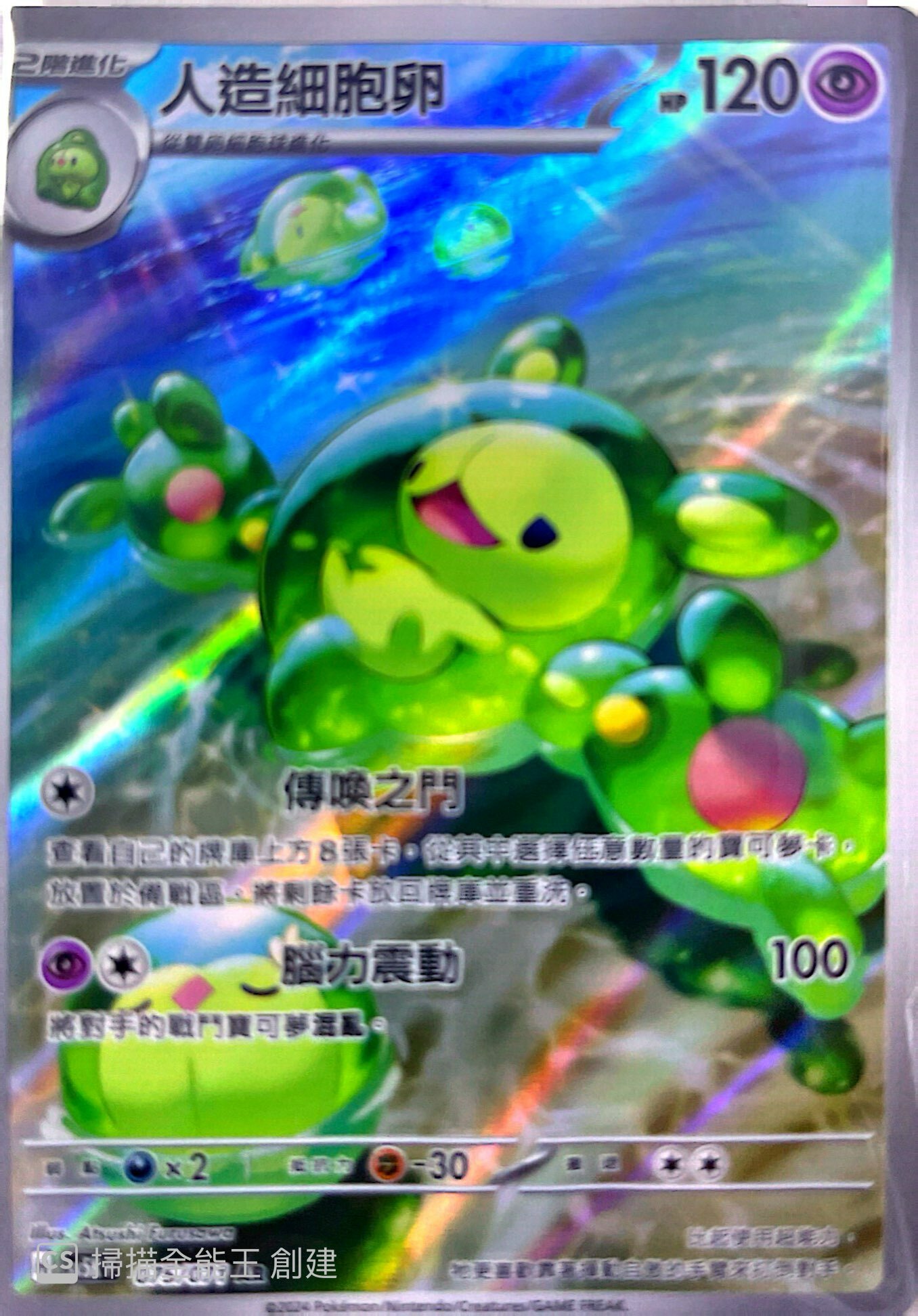 SV5KF 075/071 人造細胞卵