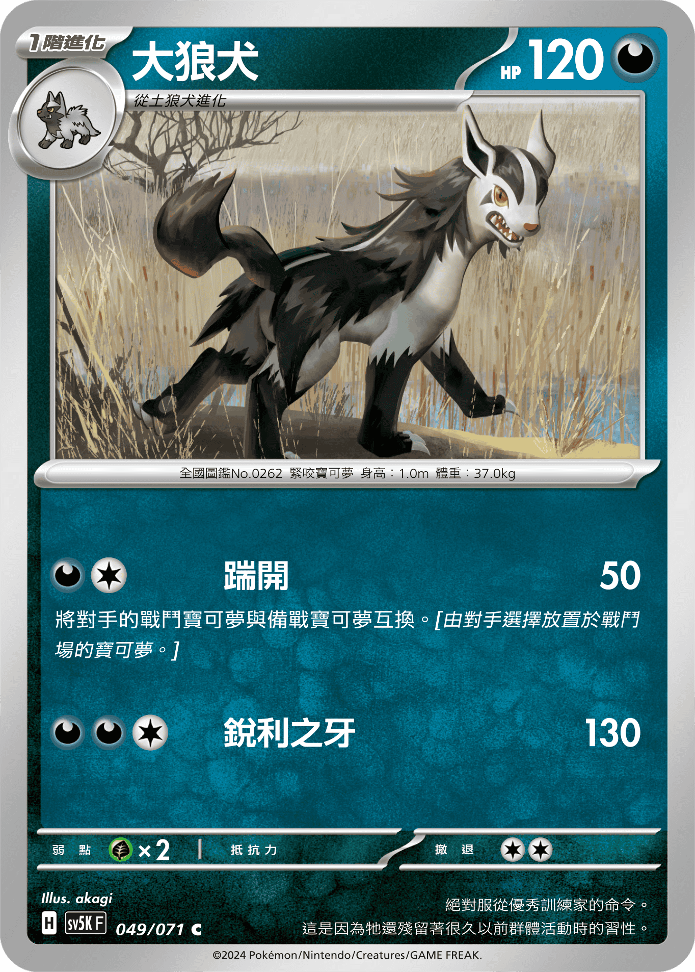 sv5k 狂野之力 049/071 大狼犬 