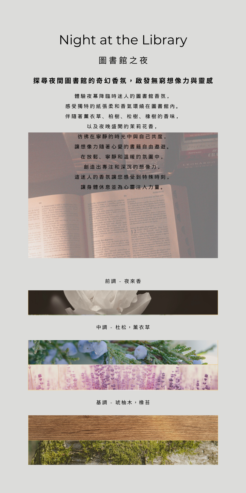 mn formula,前調 - 夜來香 中調 - 杜松,薰衣草 基調 - 柚木,橡苔