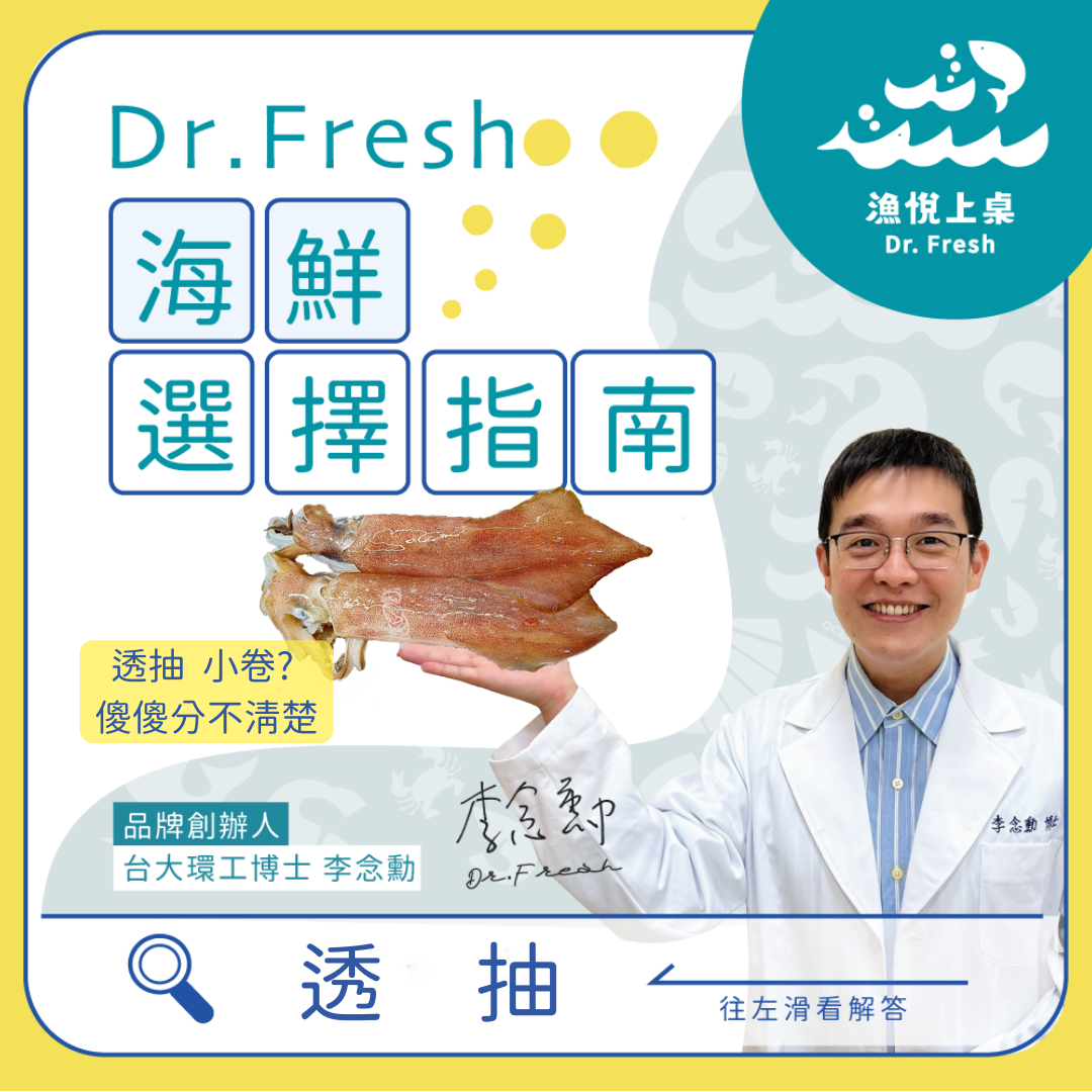 漁悅上桌 Dr.Fresh 永續養殖 海鮮選擇指南 慢魚運動 食魚教育 透抽 中卷 鎖管