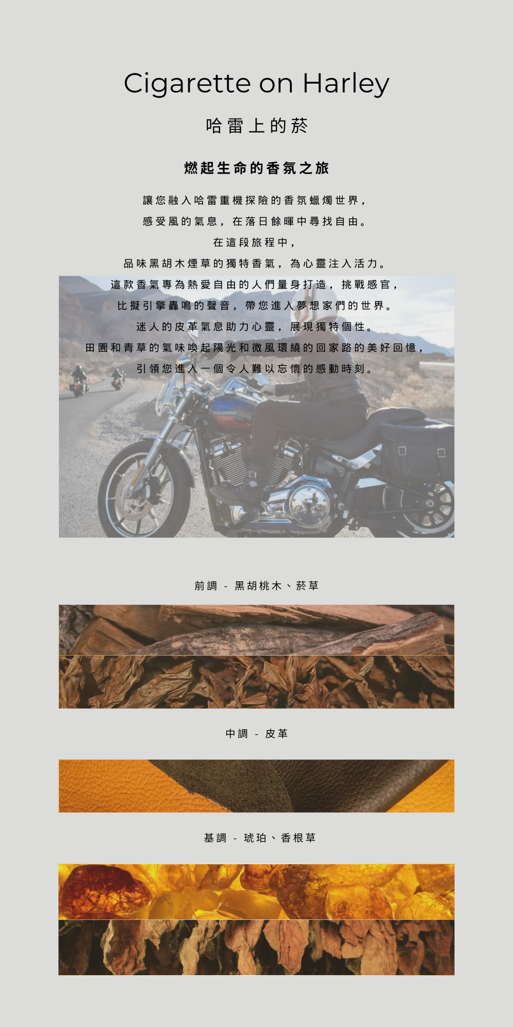 前調 - 黑胡桃木、菸草 中調 - 皮革 基調 - 琥珀、香根草