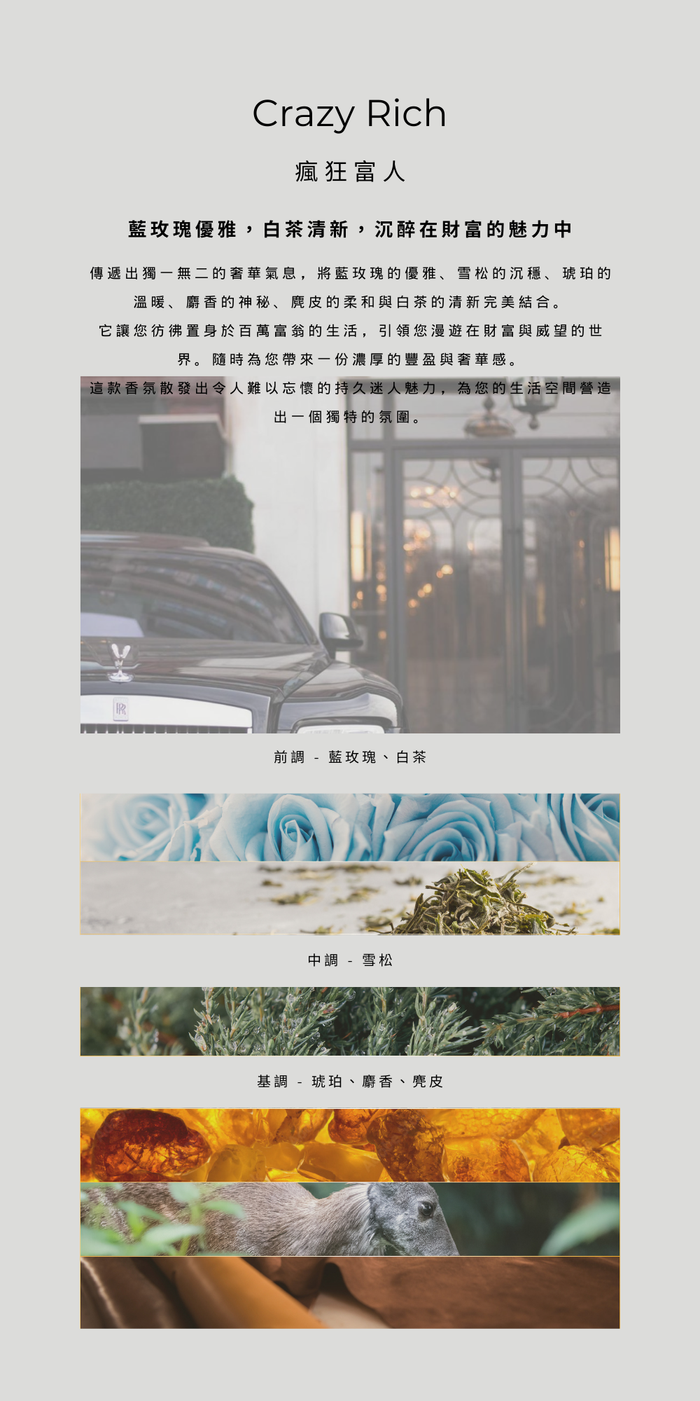 前調  - 藍玫瑰、白茶 中調  - 雪松 基調  - 琥珀、麝香、麂皮