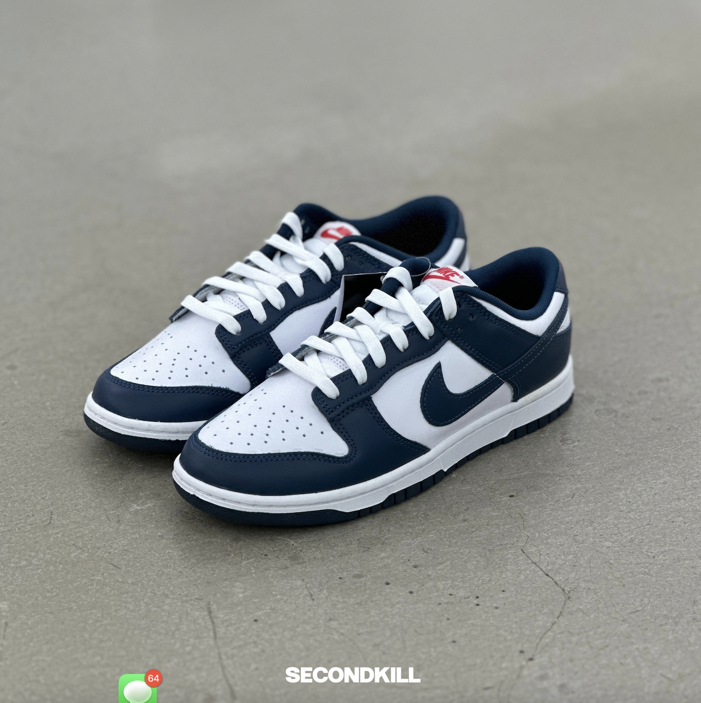 Dunk Low Valerian Blue | DD1391-400