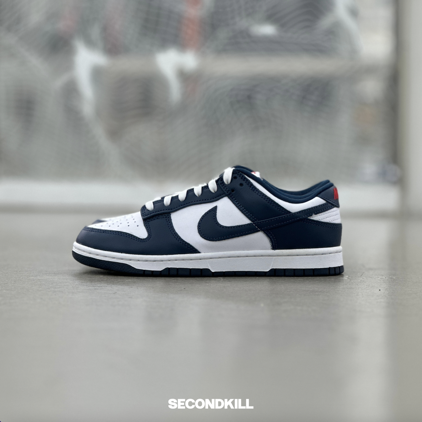 Dunk Low Valerian Blue | DD1391-400