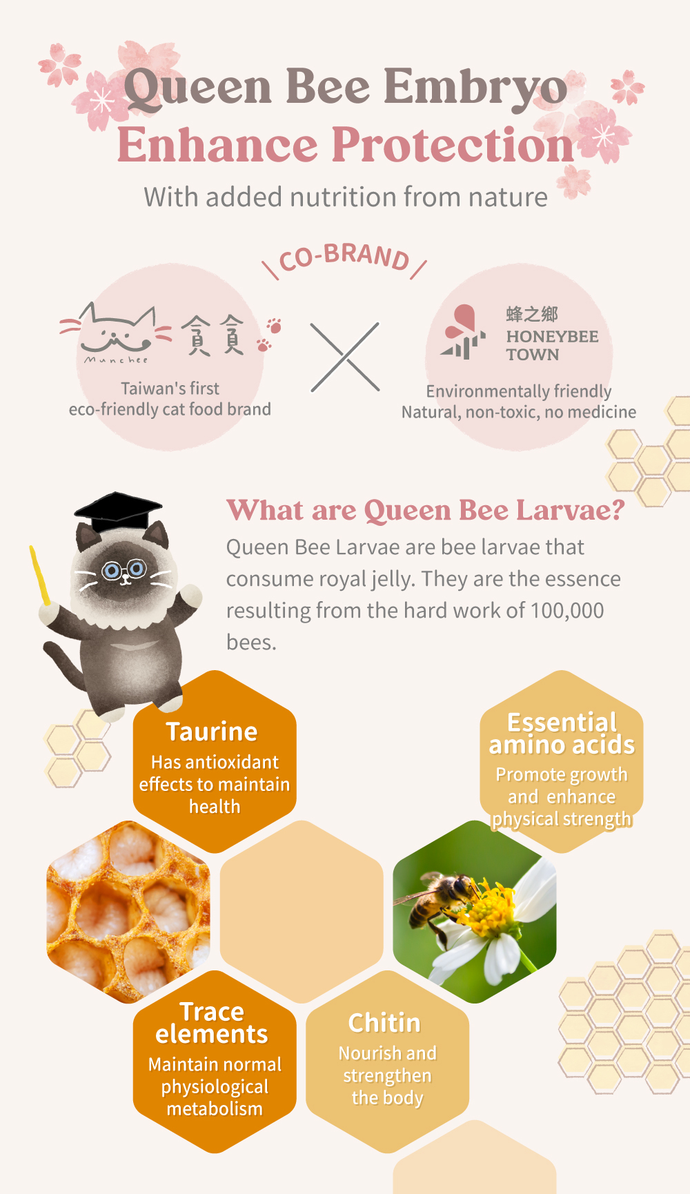 Taiwan's first eco-friendly cat food