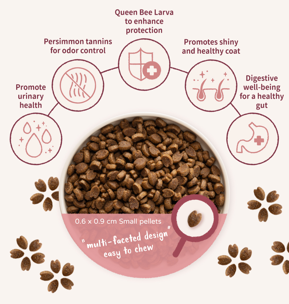 Taiwan's first eco-friendly cat food