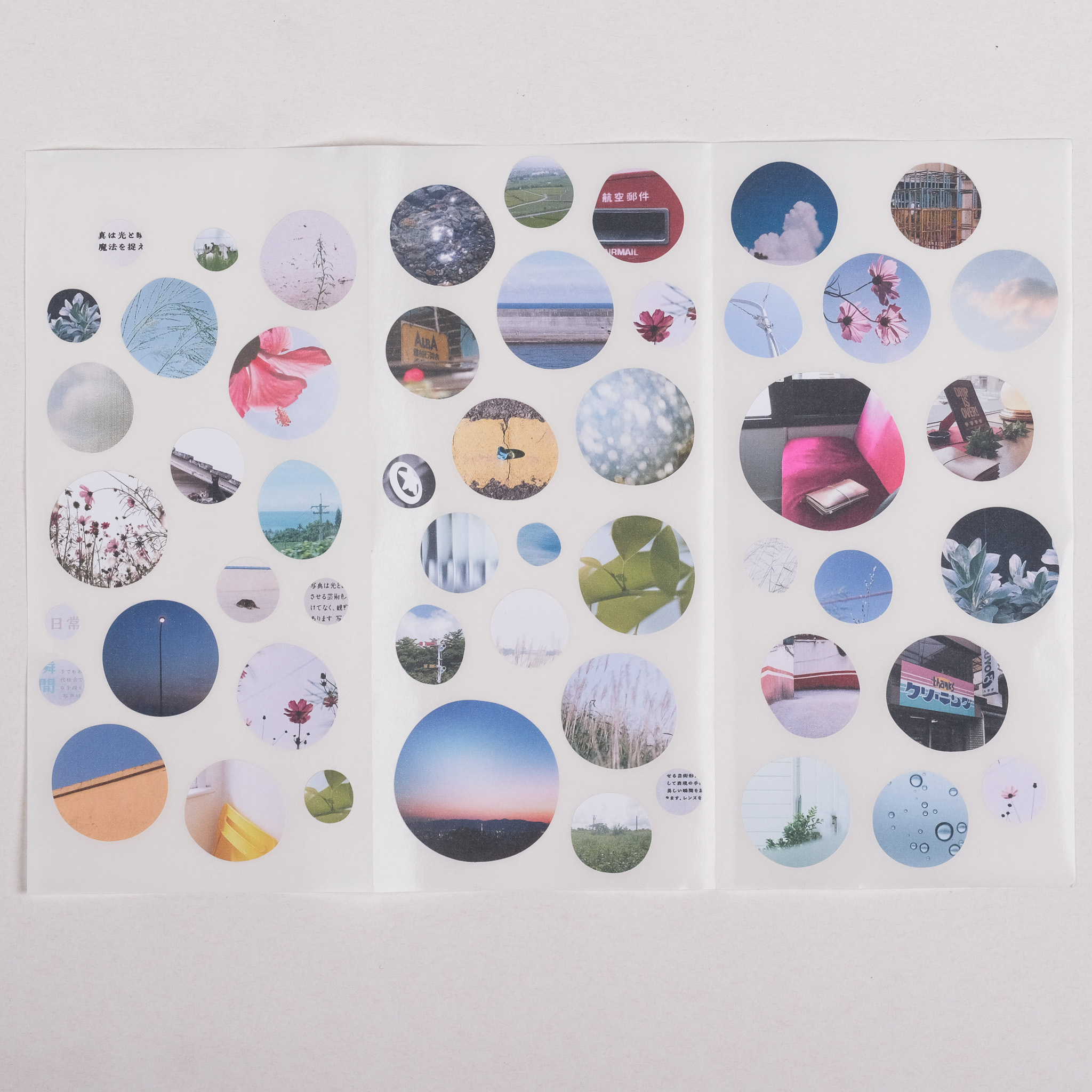 Take a picture 模造不規則圓貼 /一分之一工作室/TAIWAN