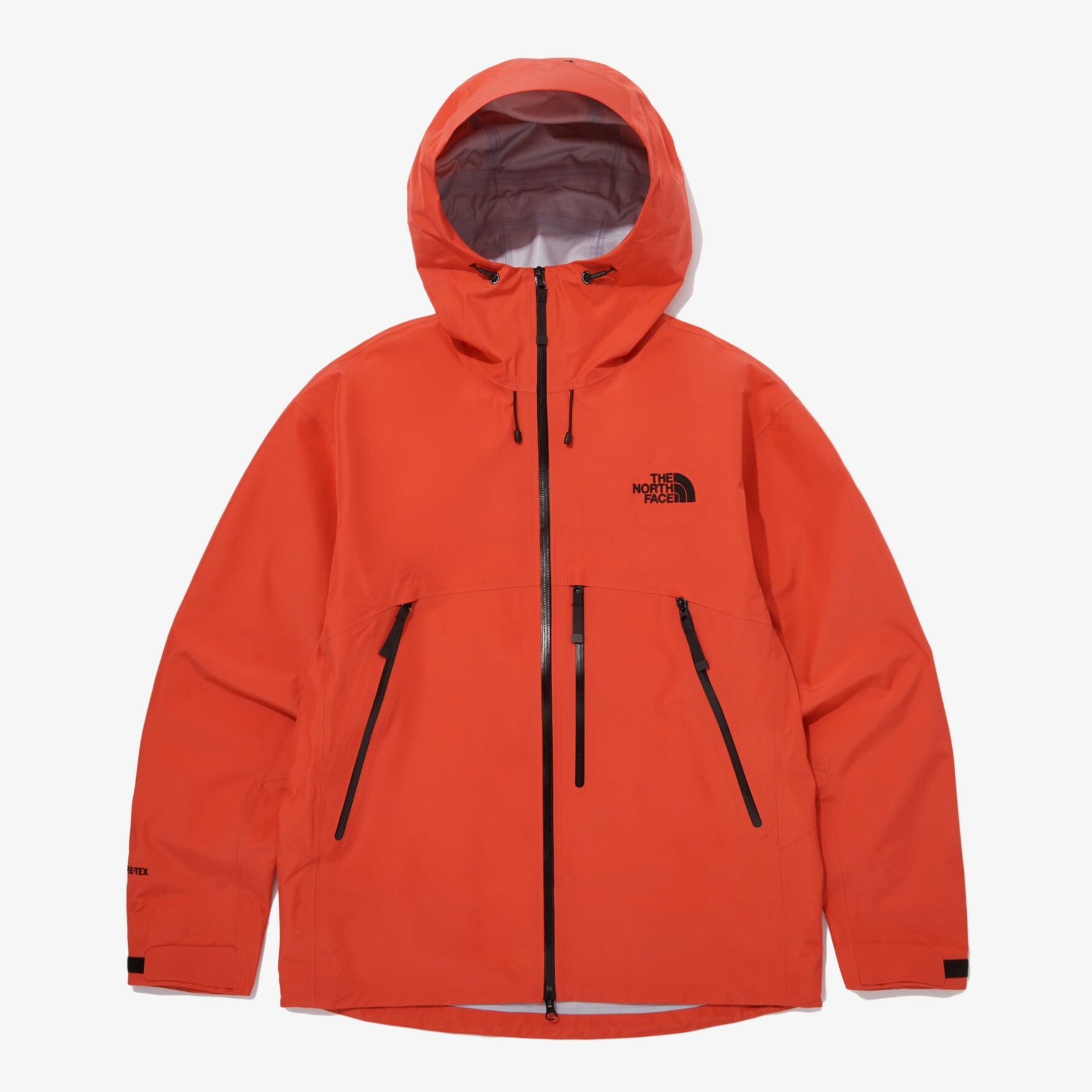 THE NORTH FACE 北臉 FELIX GTX JACKET 連帽 外套 NJ2GQ03