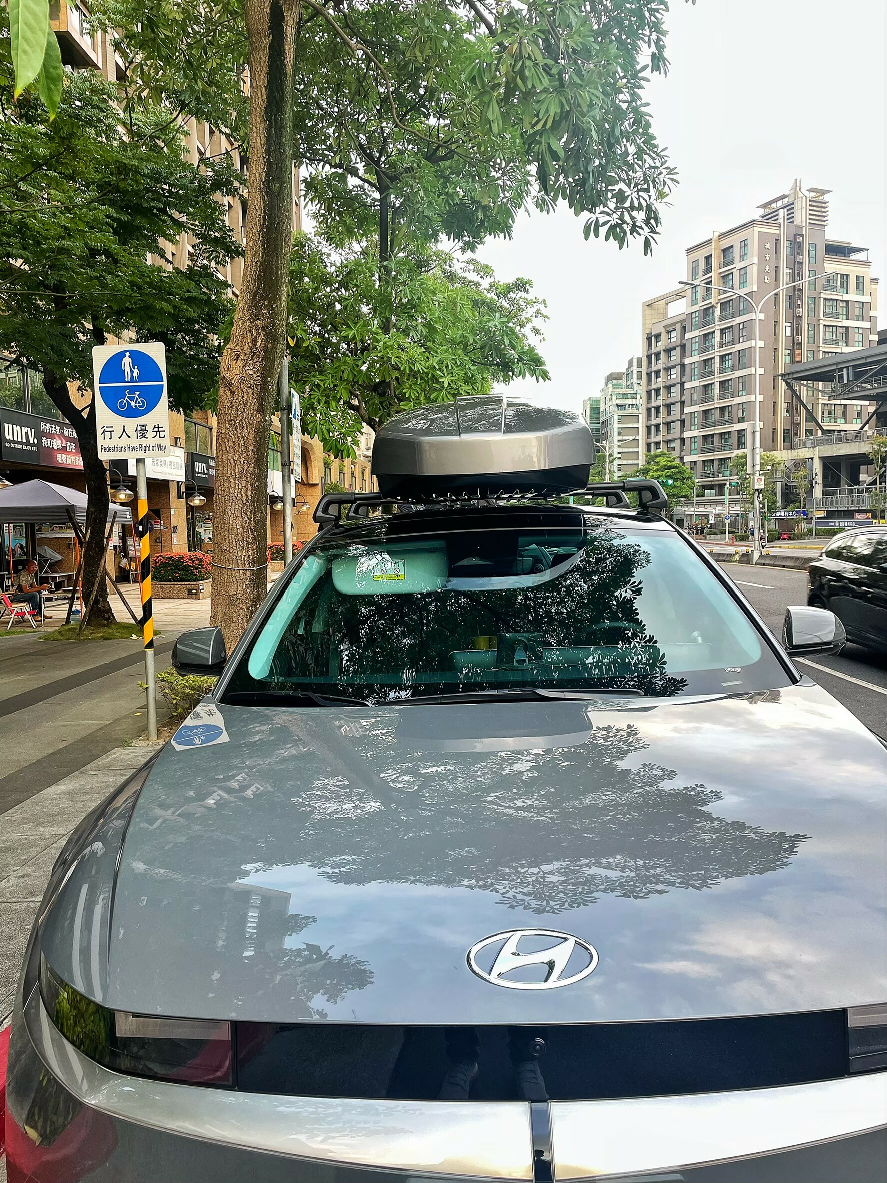 THULE Motion-L 鈦灰 ioniq5 電動車