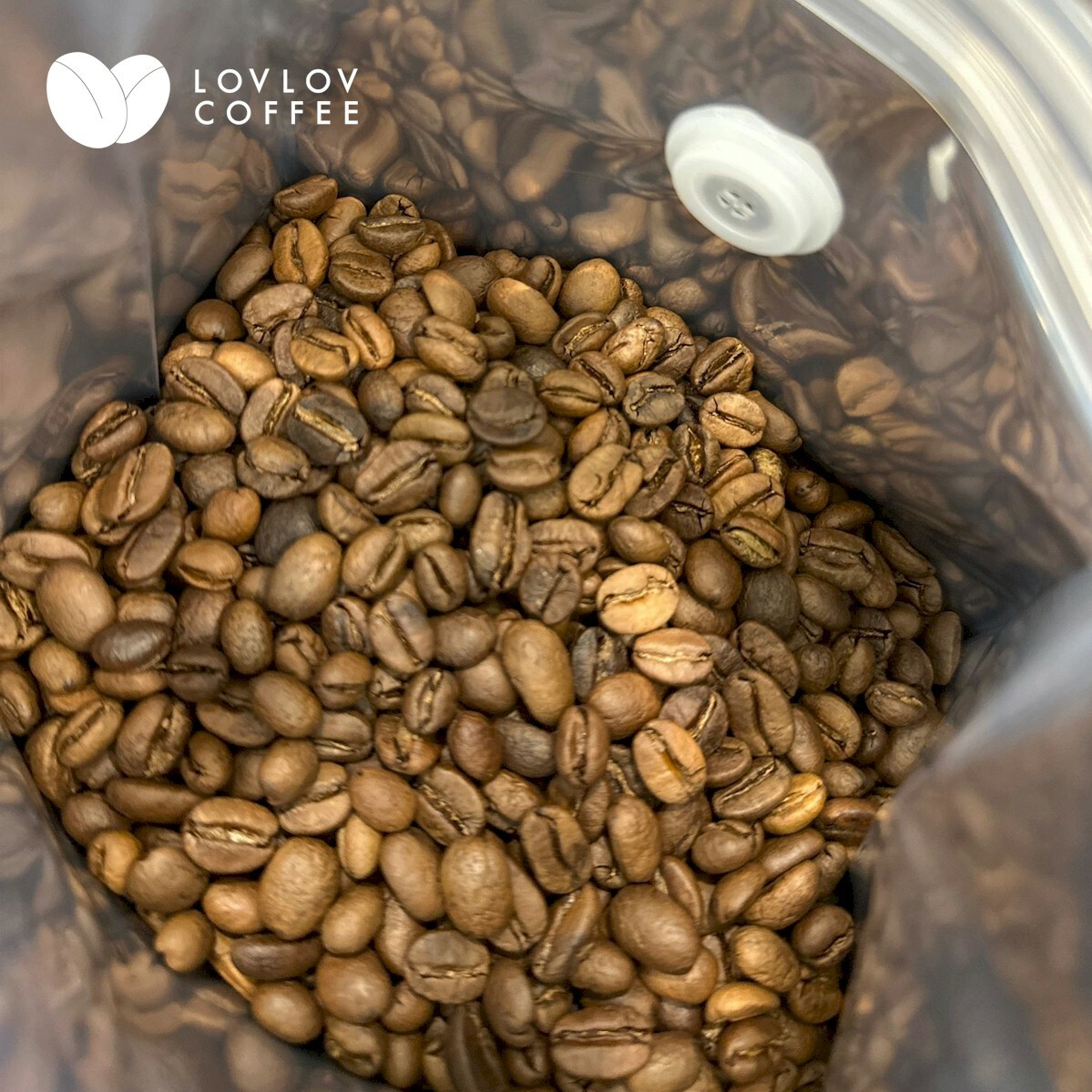 個人 | 10kg起 | 咖啡豆小型批發 | 可分次發貨