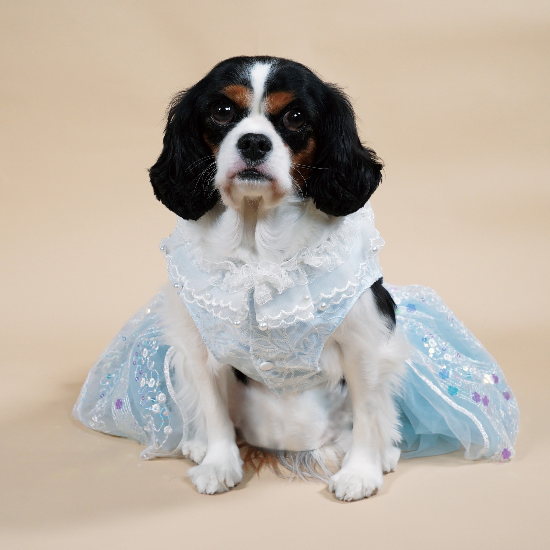Fancy Blue Sparkly Sequin Princess Dress