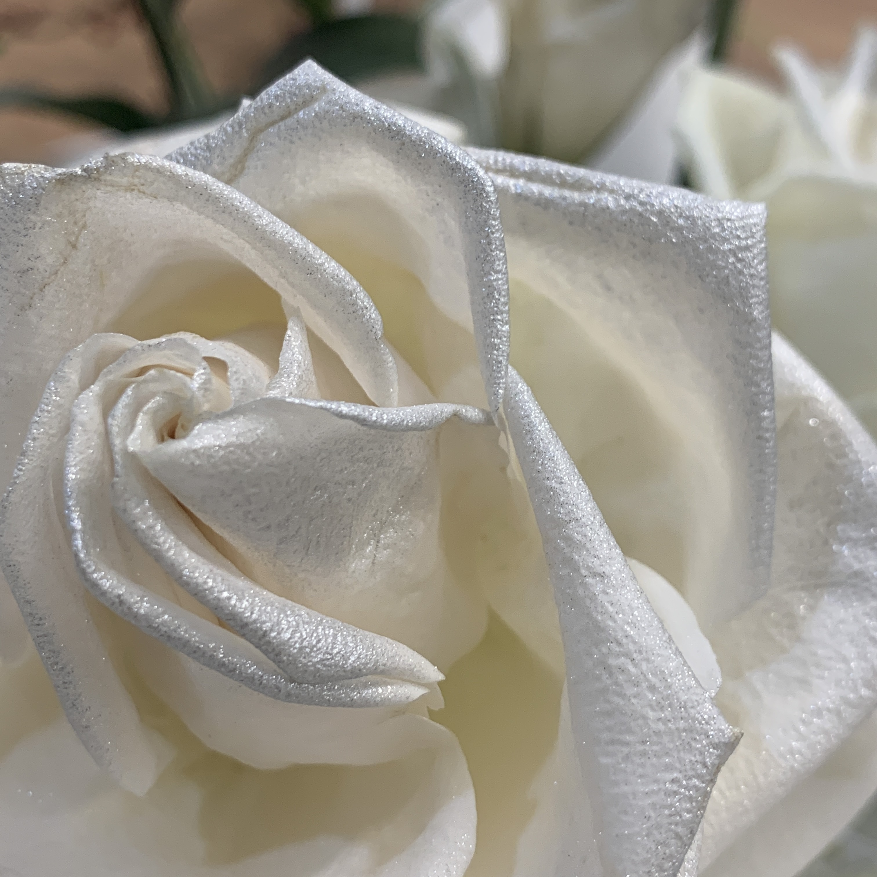 RUNI情人節花束-特殊噴色進口玫瑰花束（多色可選！）