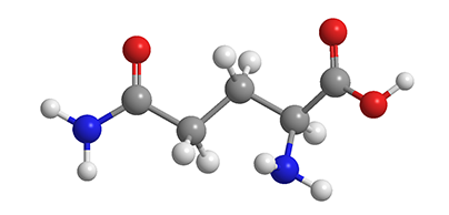 左旋麩醯胺酸立體結構