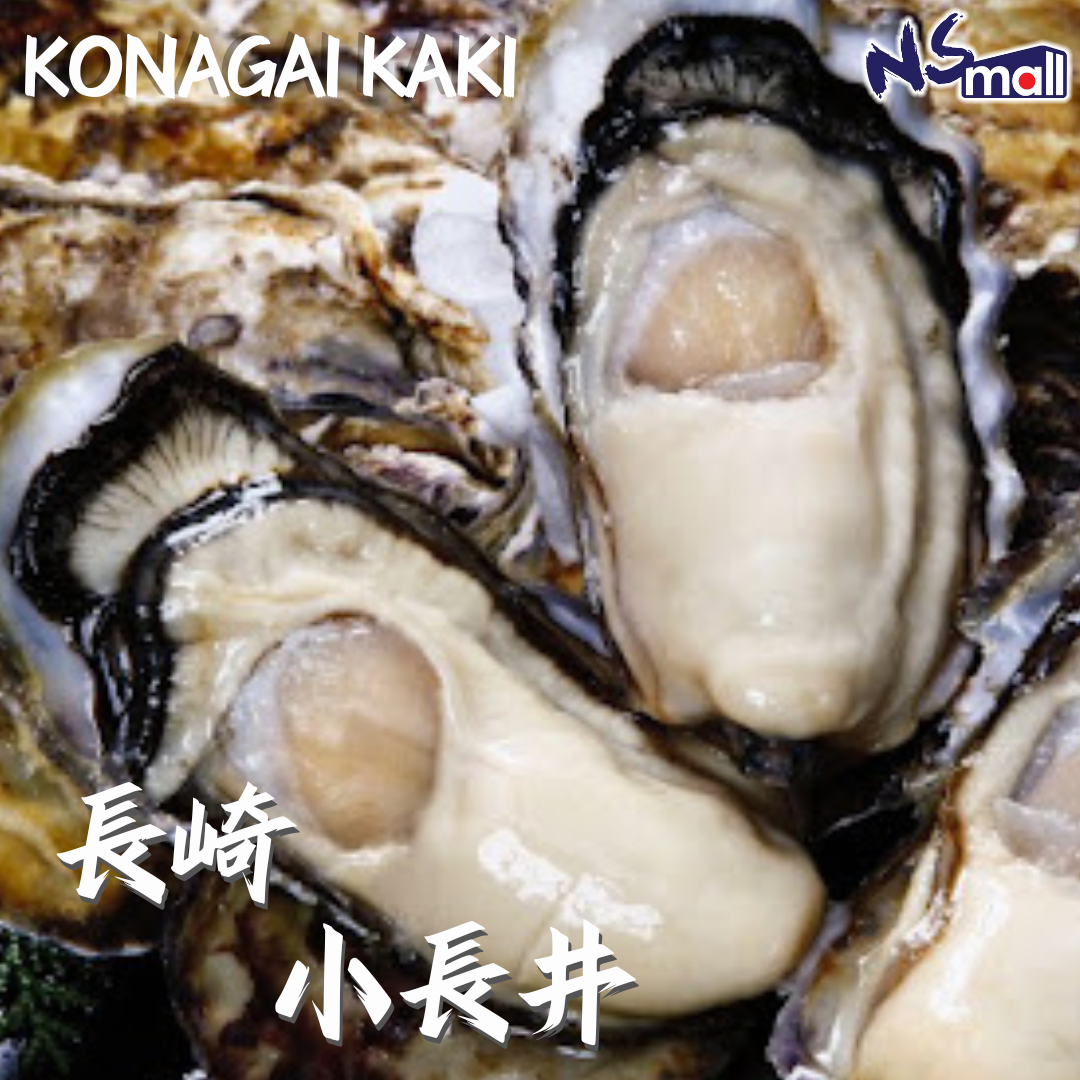 長崎小長井 真蠔 約70-90g/隻