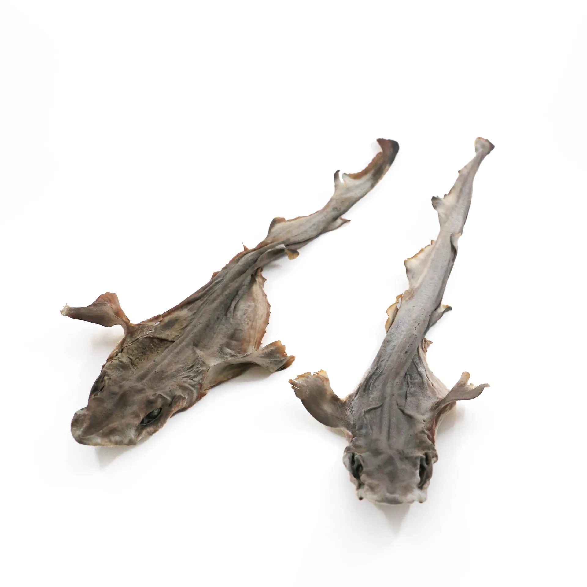 TREAT ME 食癒毛小孩 ｜鯊嘟嘟嘟