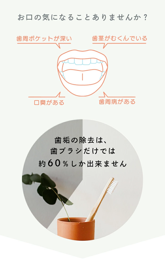 Dretec Jet Clean Portable 水牙線機 FS-101