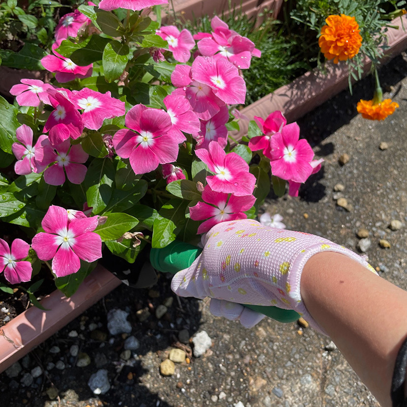 園藝手套/S