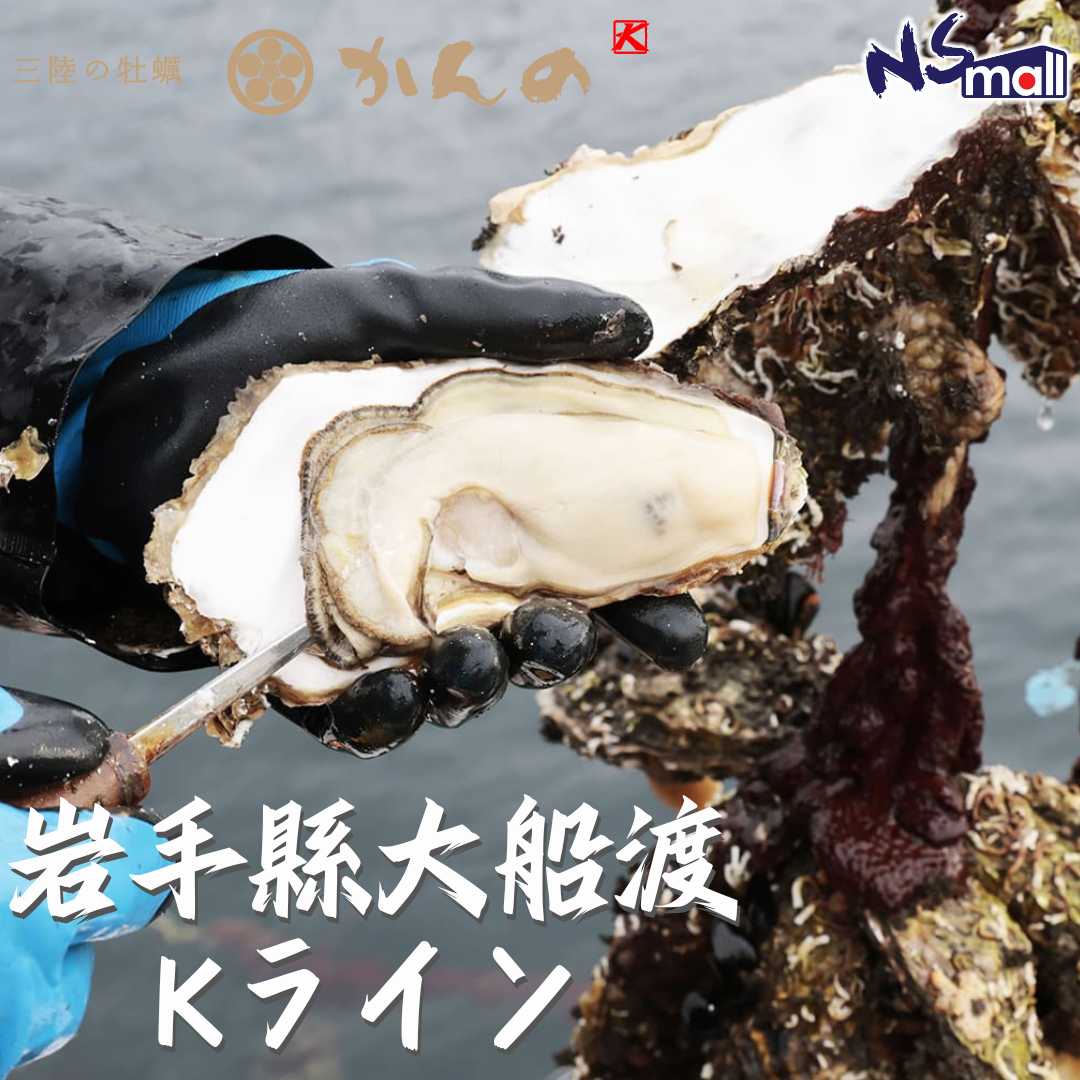岩手 大船渡 Kライン 生蠔 約100-150g/隻