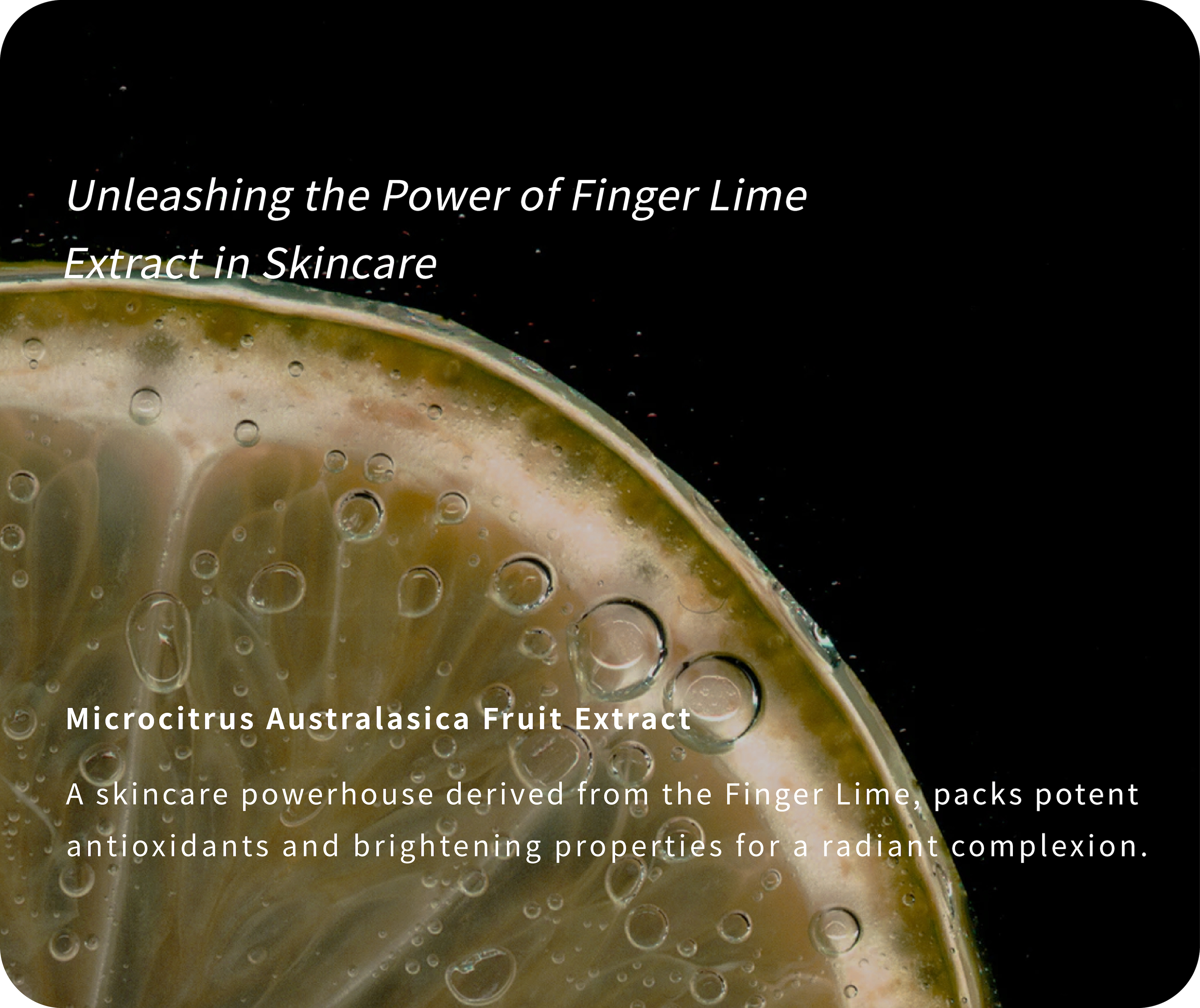 antioxidants and brightening