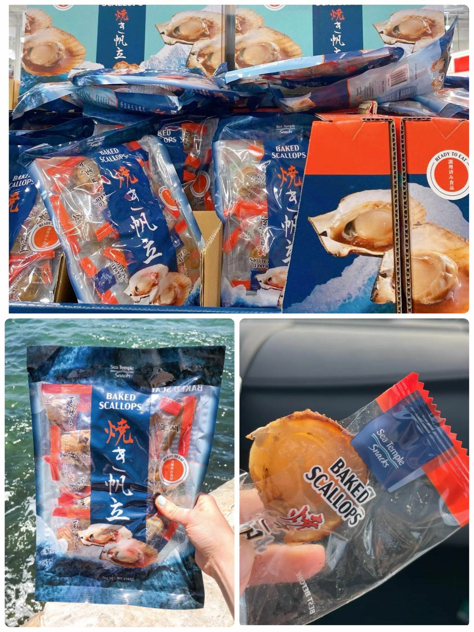 【現貨】Sea Temple K020504 燒帆立貝 142g