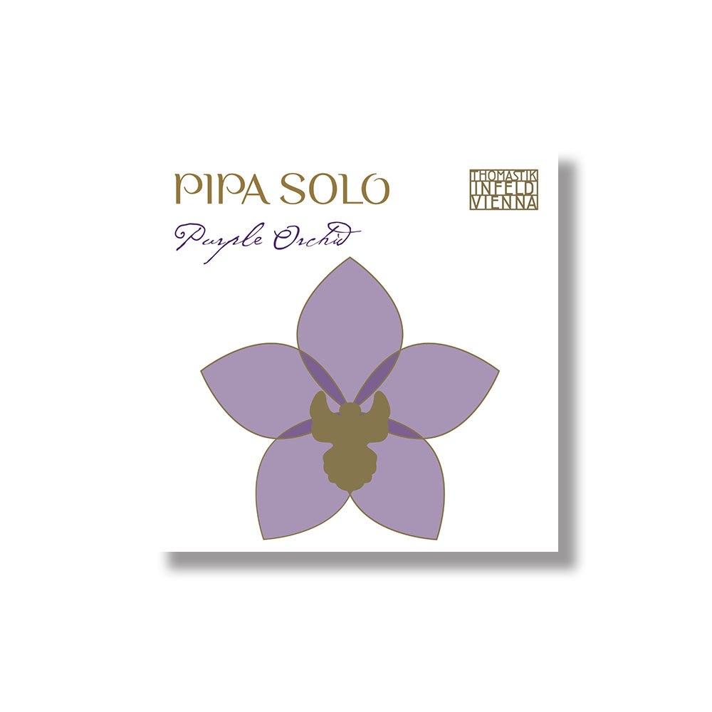 Thomastik Pipa Solo 琵琶弦 PS100