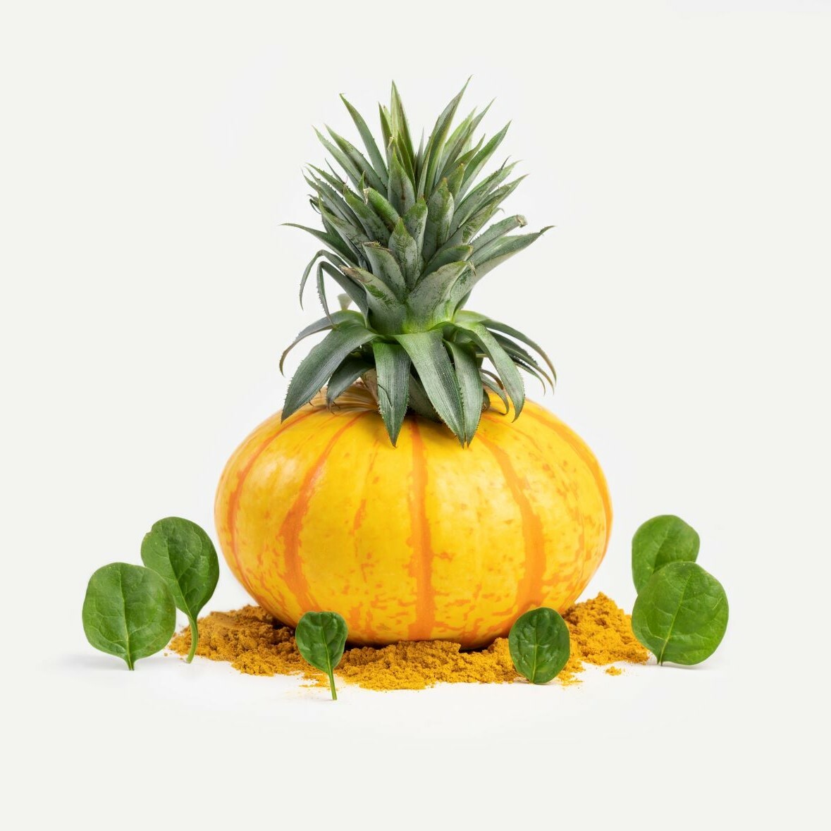 GABA紓壓鮮食肉泥- 田園南瓜雞肉 Chicken & Pumpkin