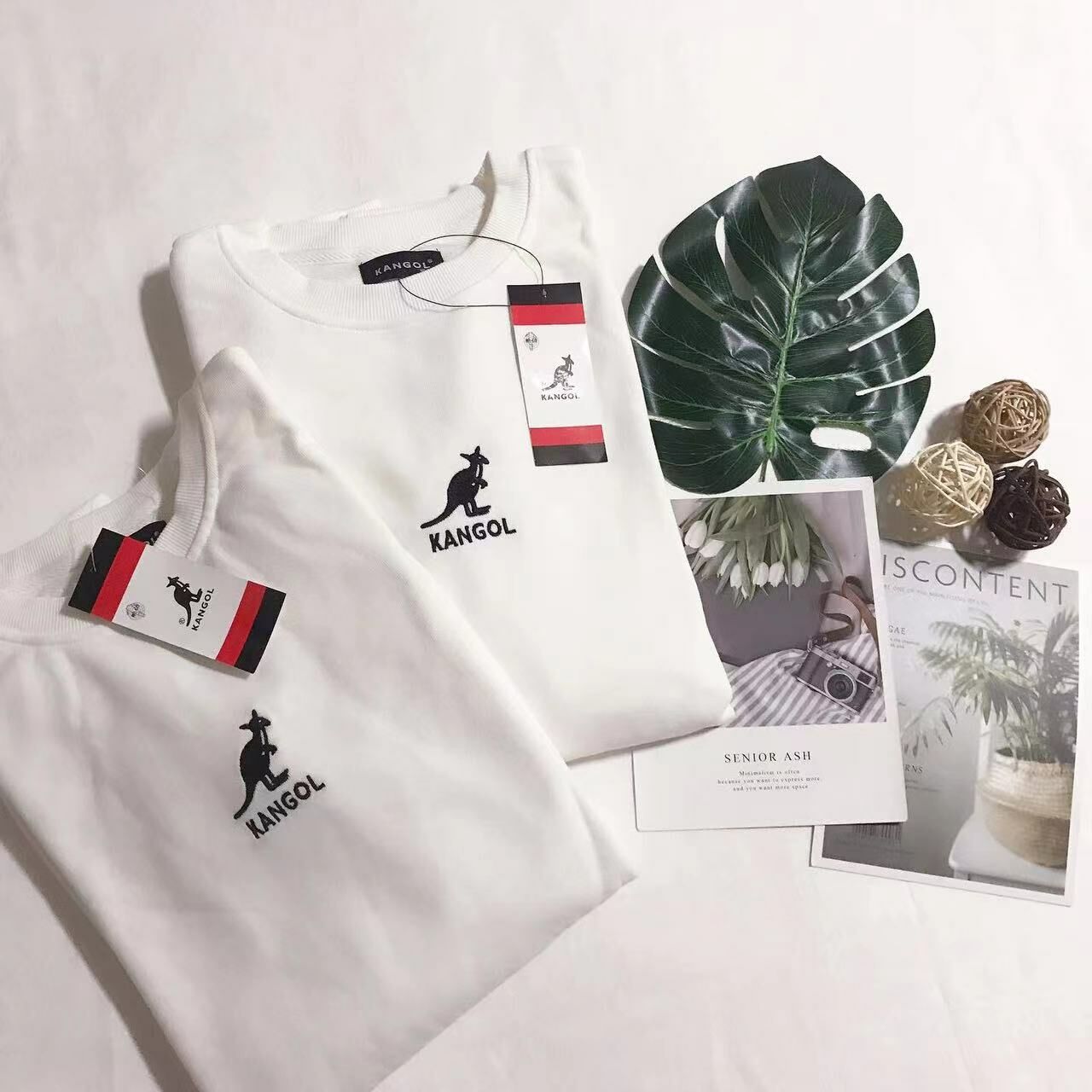 🇯🇵日本代購款 KANGOL MIDDLE  LOGO SWEATSHIRT