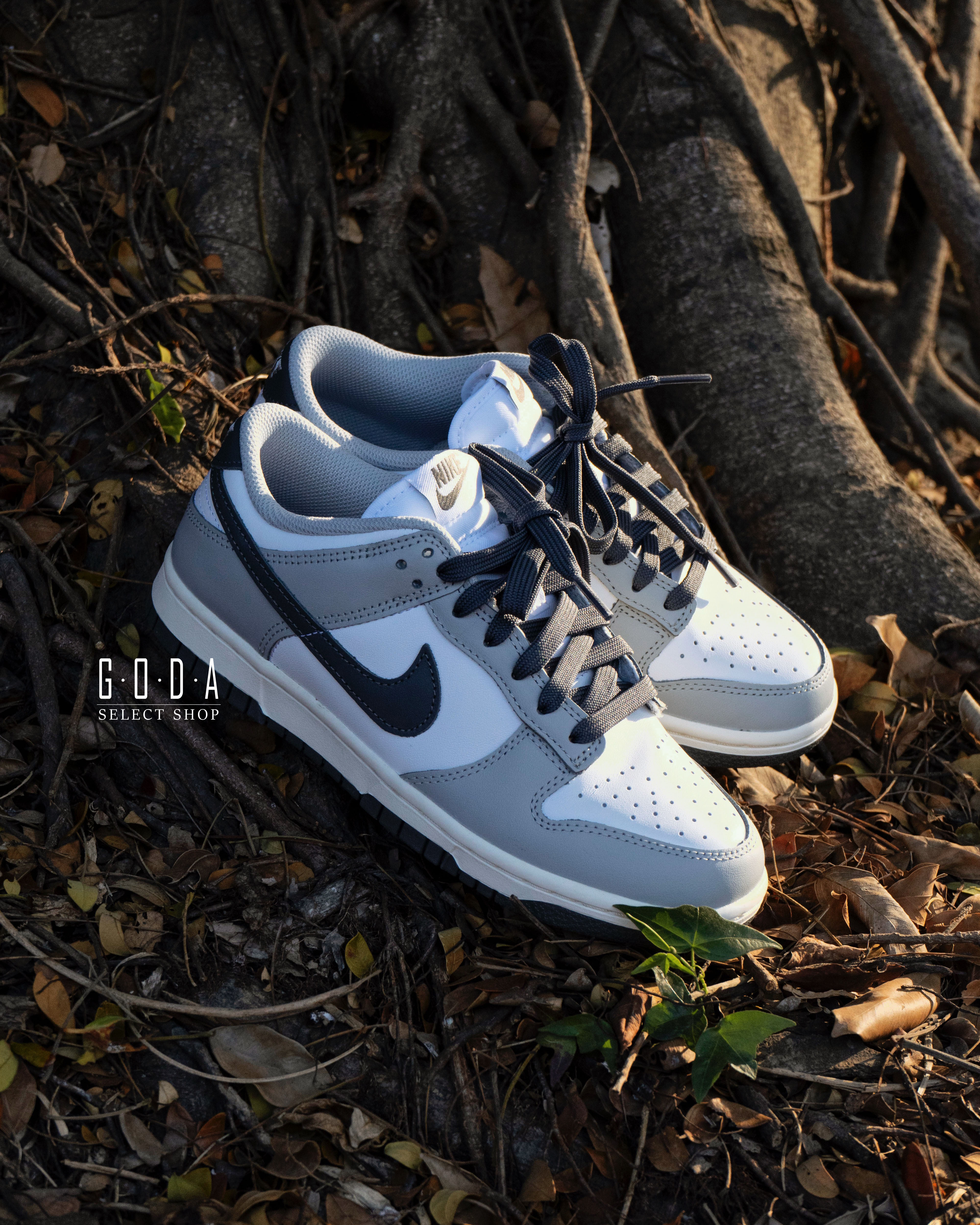 Nike Dunk Low Light Smoke Grey 煙霧灰 男女尺寸 DD1503-117