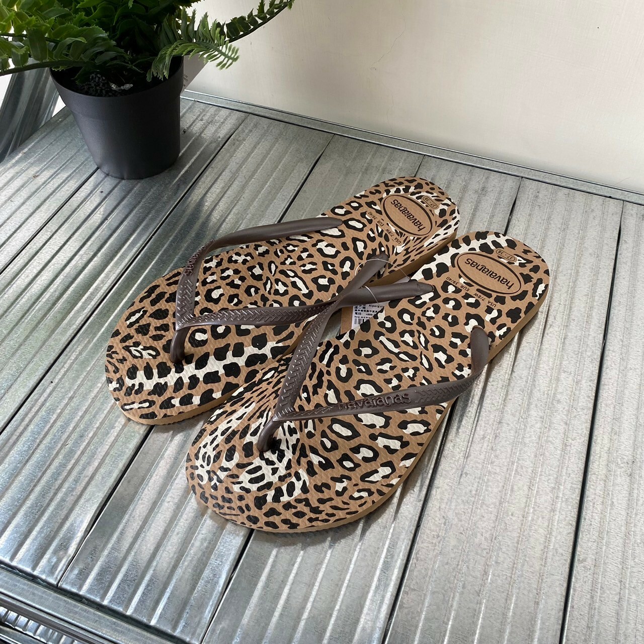 Havaianas 哈瓦仕 Slim Animals拖鞋女鞋夾腳拖 豹紋 4103352-6841W