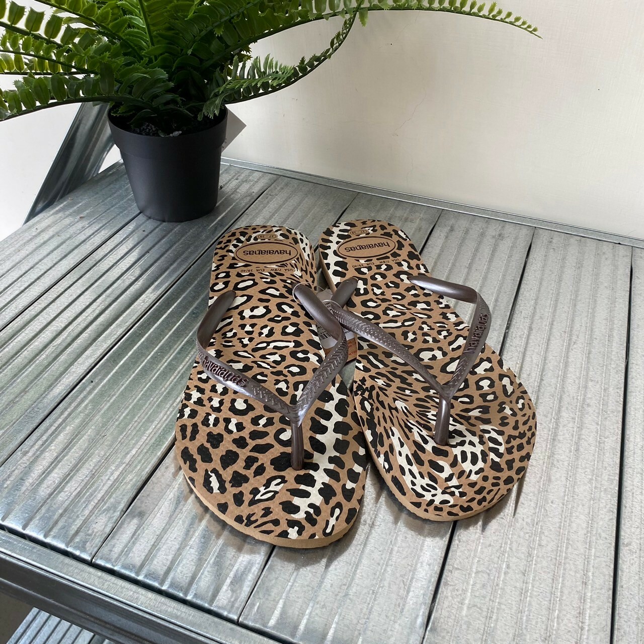 Havaianas 哈瓦仕 Slim Animals拖鞋女鞋夾腳拖 豹紋 4103352-6841W