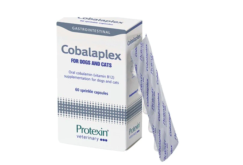 Protexin - Cobalaplex 維他命B12及B9補充劑 60 粒裝 (貓狗適用）