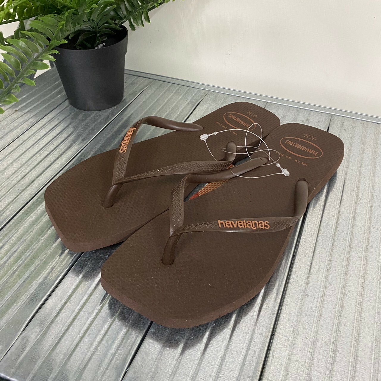 Havaianas 哈瓦仕 Slim Square Logo pop up拖鞋 夾腳拖 方頭 深棕色 4148959-0727w