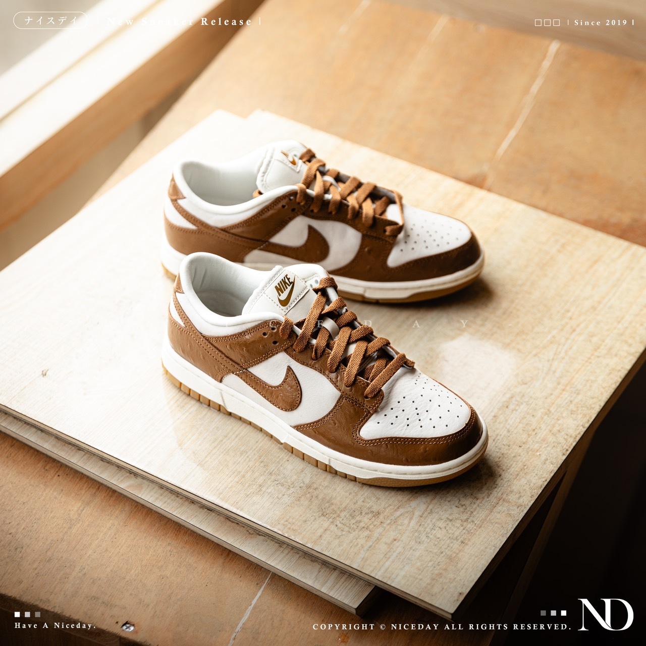 NICEDAY 現貨 Nike Dunk Low LX Dunk Ale Brown 棕色 咖啡色 女款 FJ2260-001