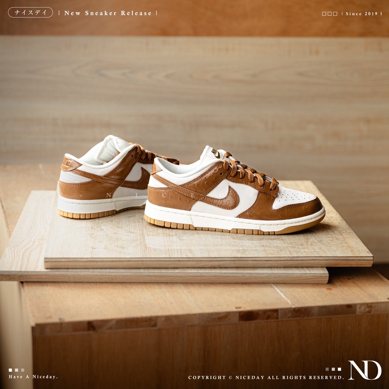 NICEDAY 現貨 Nike Dunk Low LX Dunk Ale Brown 棕色 咖啡色 女款 FJ2260-001